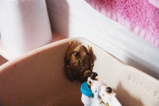 225820_10100119110713342_1324326276_n copy