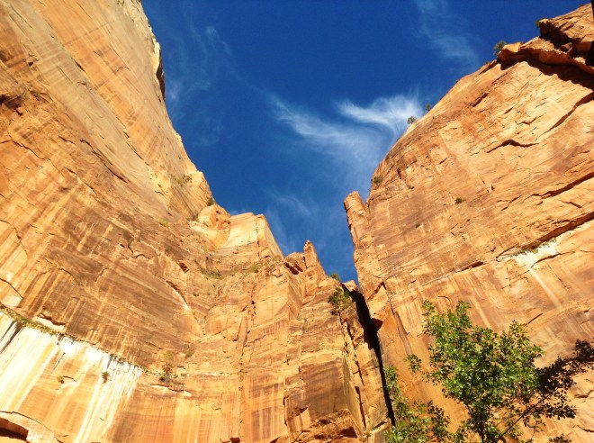 View of cliffs in Zion national park