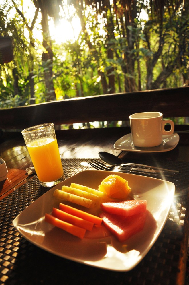 Breakfast in the jungle with sunrise