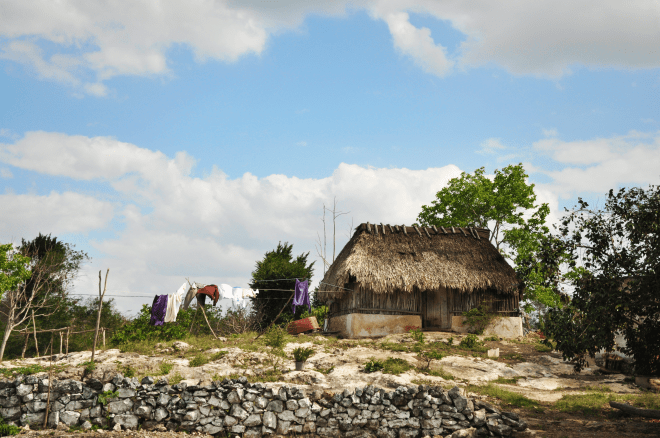 Thatched houses in mexico