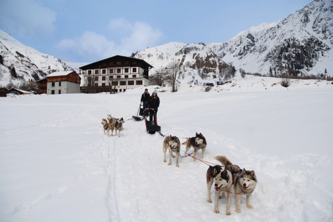 Girl Husky sledding in Chamonix
