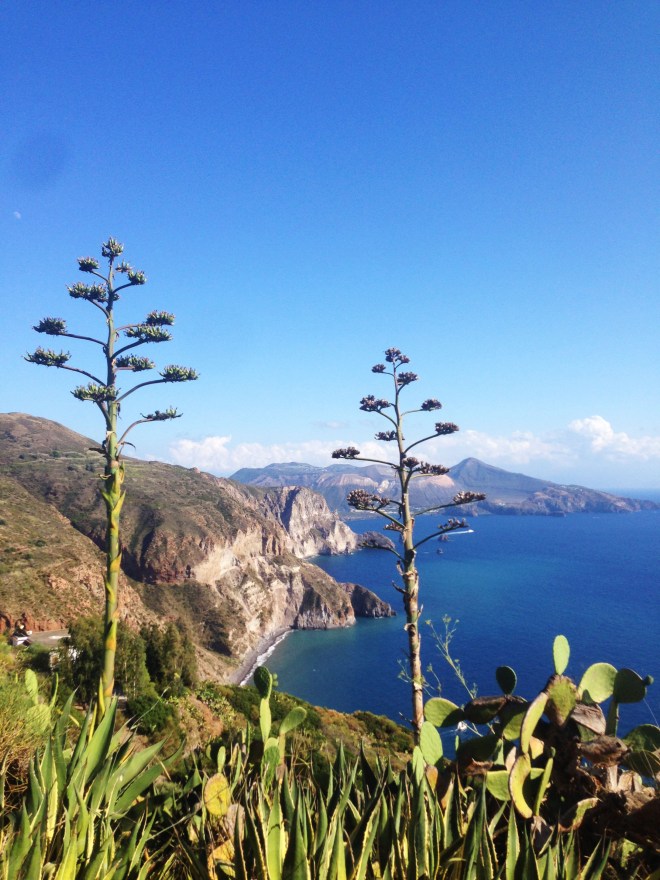 View of ocean, cliffs and trees at quattrocchi in Lipari