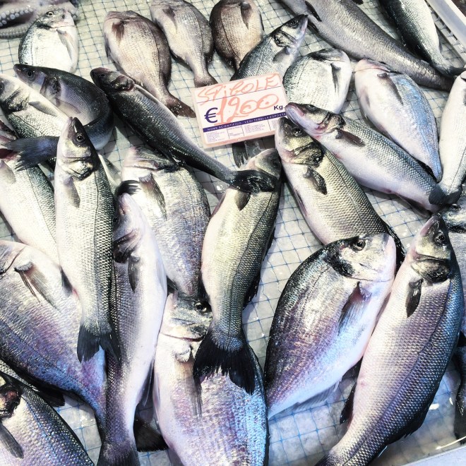 Fish at Syracuse food market