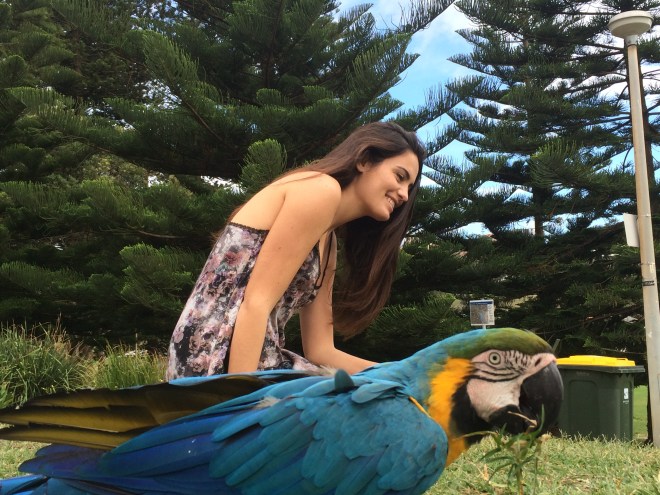 Girl with parrots in Sydney